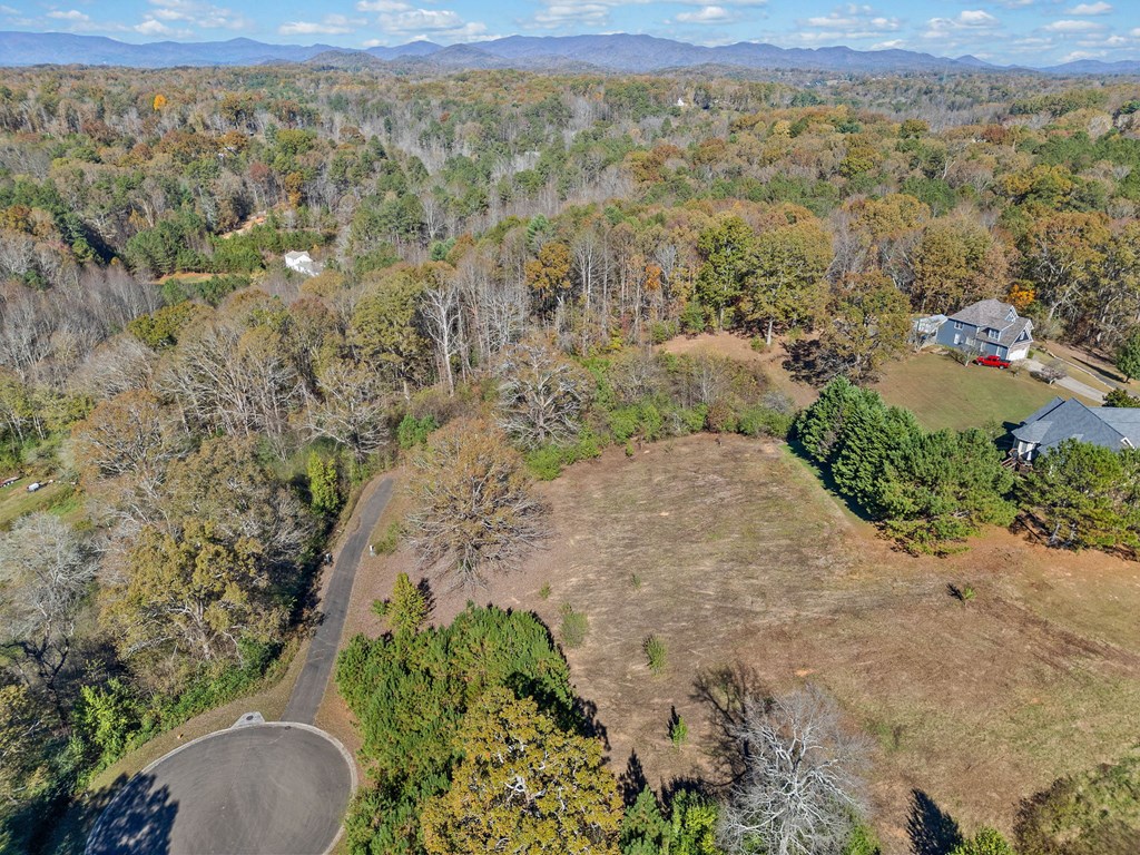 411741 Ellijay Land