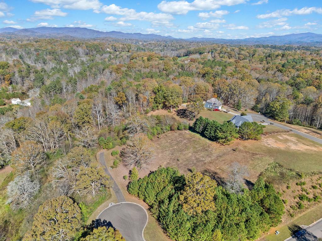 411741 Ellijay Land