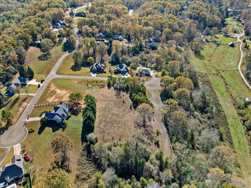 411741 Ellijay Land