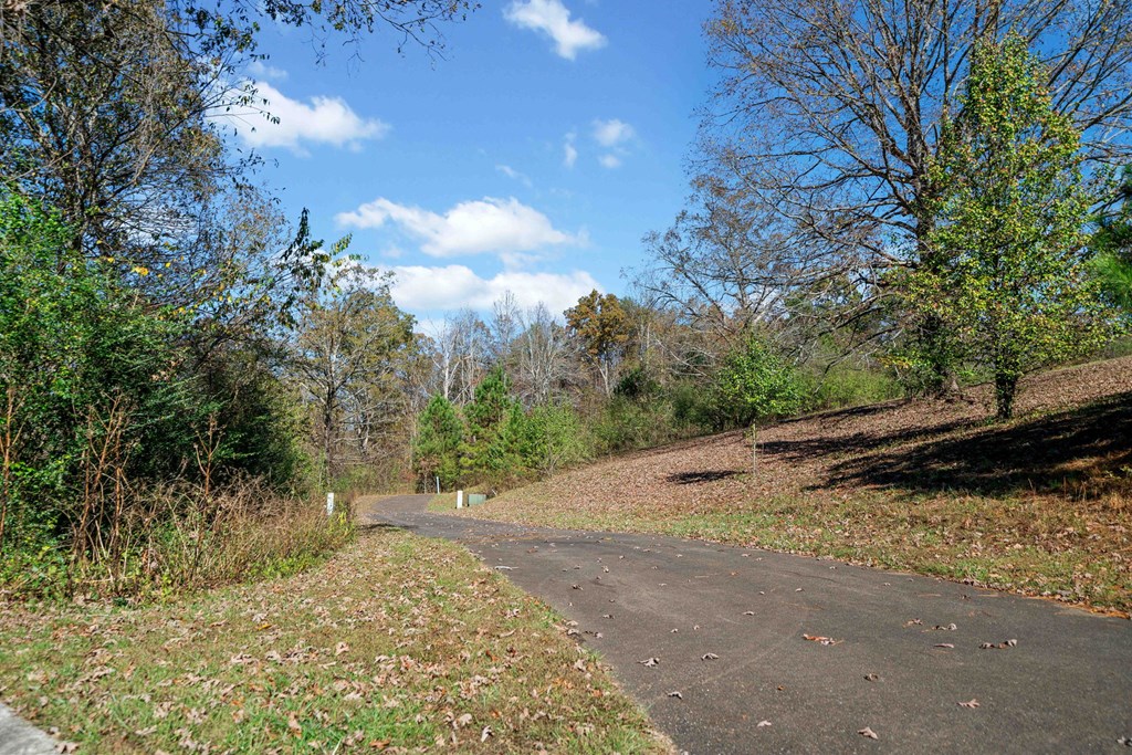 411742 Ellijay Land
