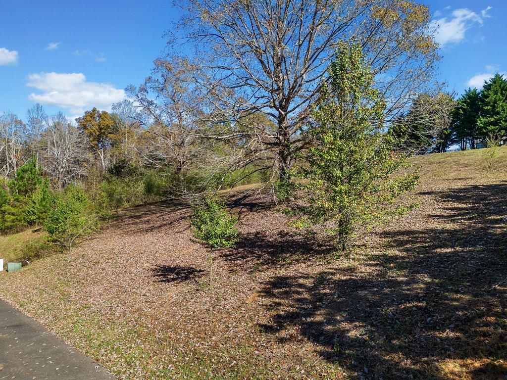 411742 Ellijay Land