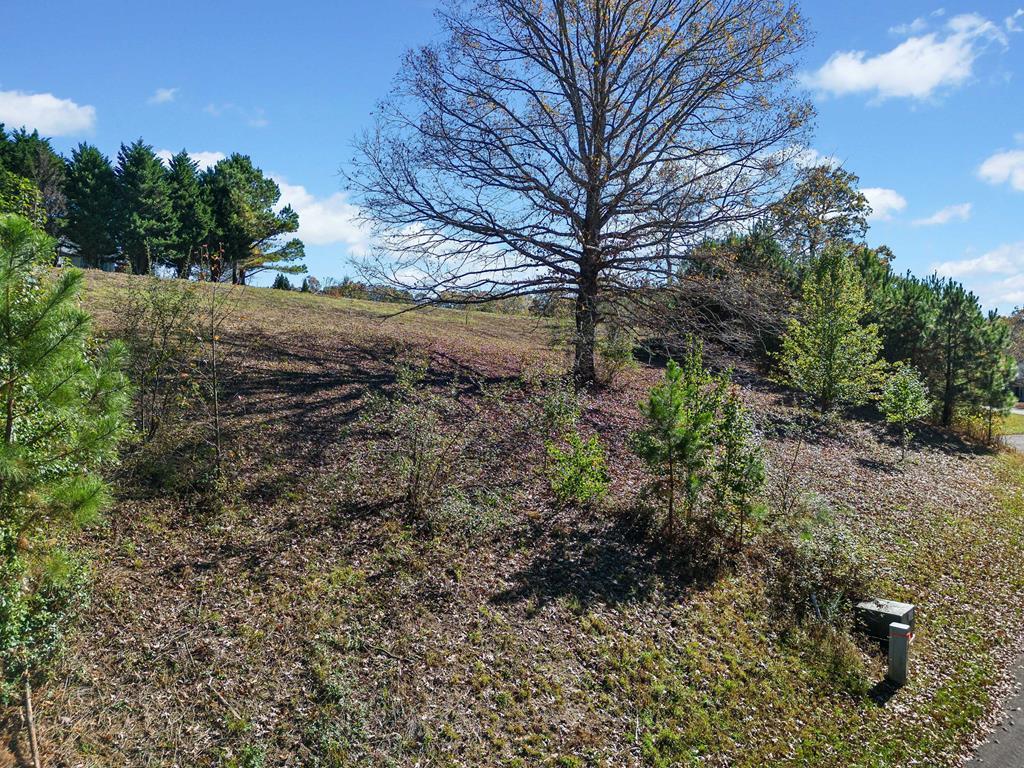411742 Ellijay Land