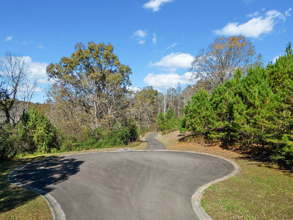 411742 Ellijay Land