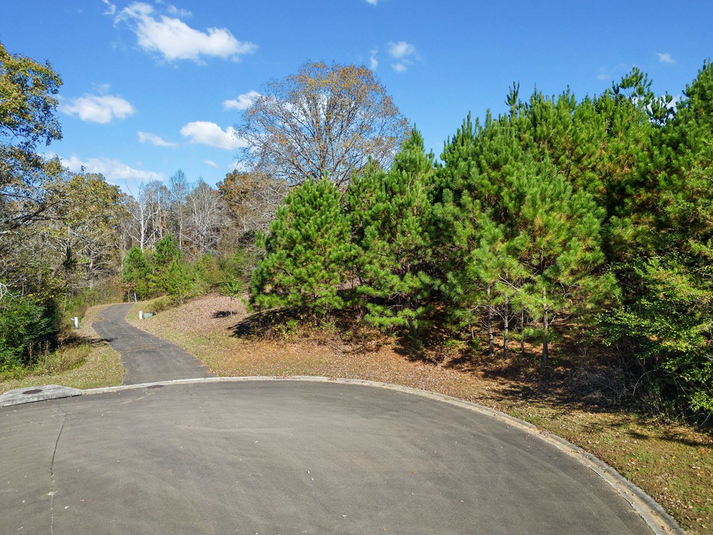 411742 Ellijay Land