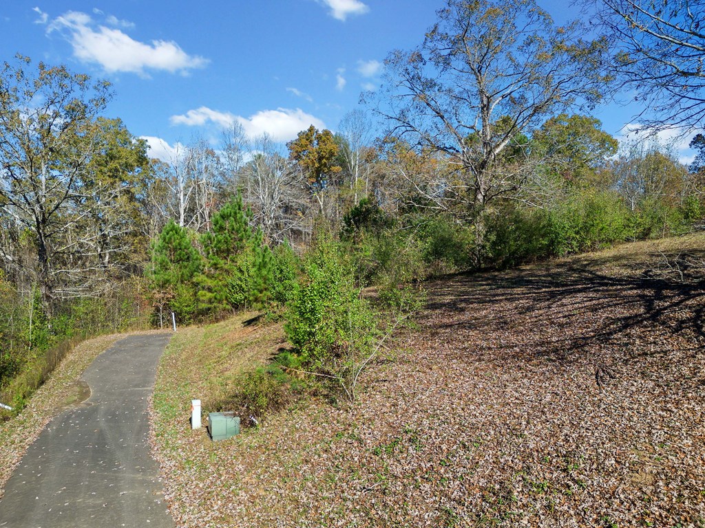 411742 Ellijay Land