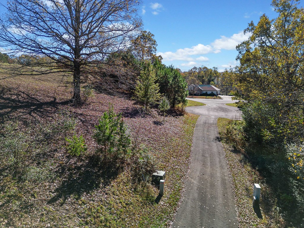 411742 Ellijay Land