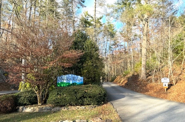 411779 Hayesville Land