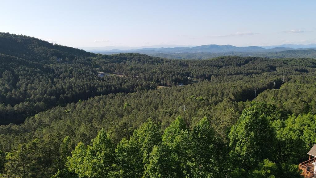 411796 Blairsville Land