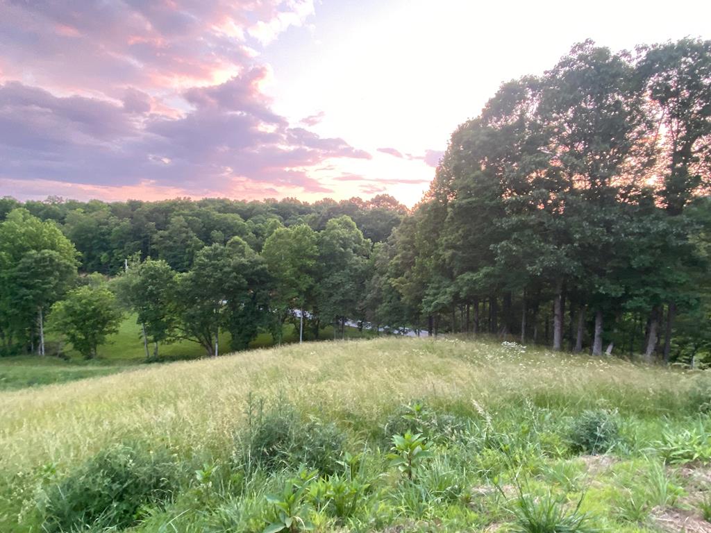 411798 Morganton Land