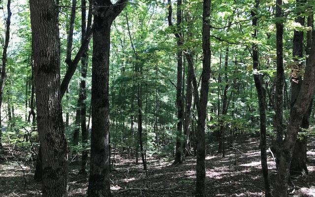 411812 Hayesville Land
