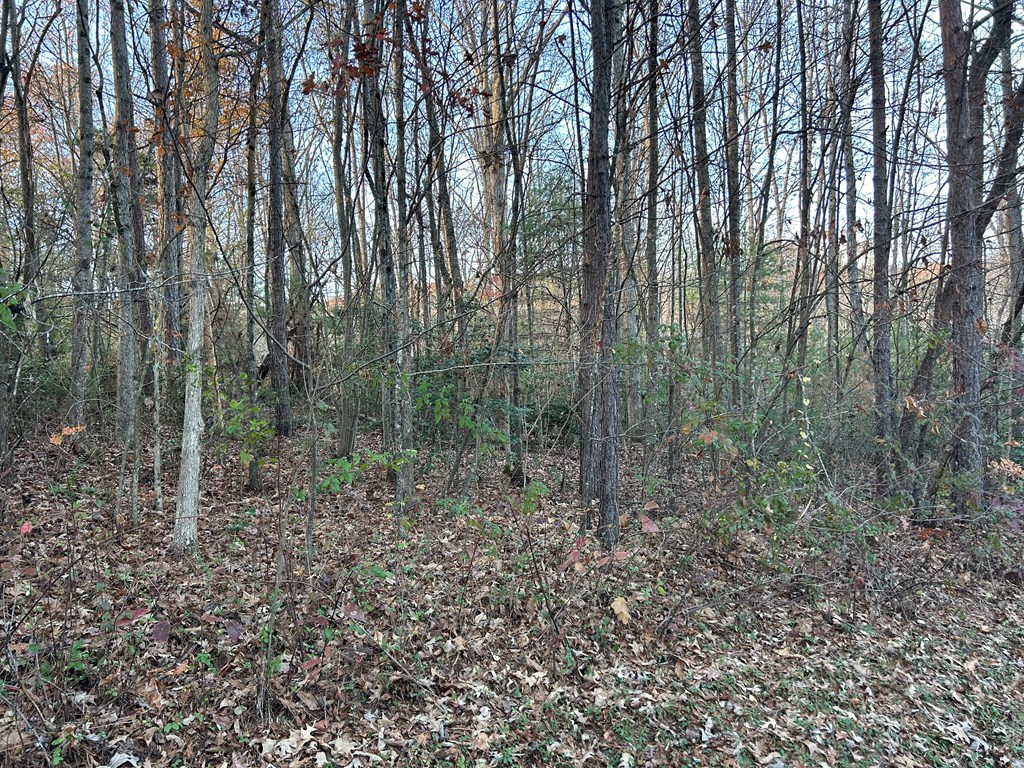 411834 Blairsville Land