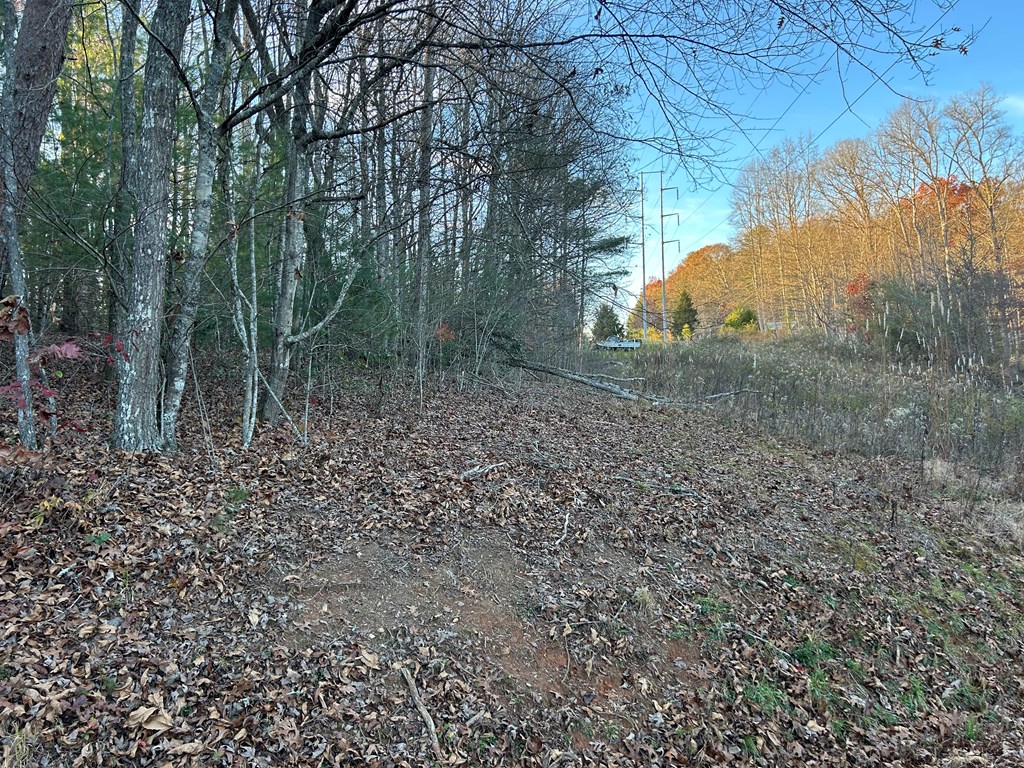 411834 Blairsville Land