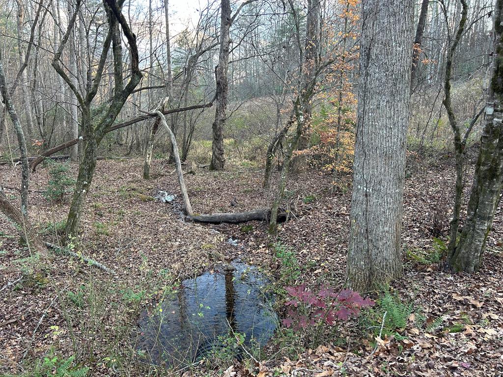 411835  Land