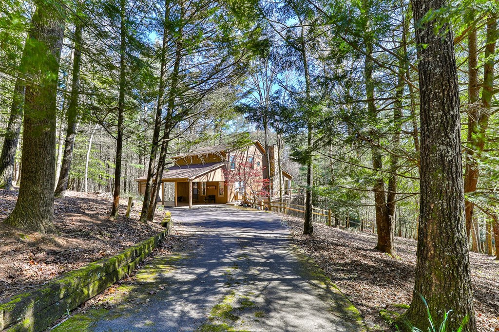 411845 Ellijay Residential