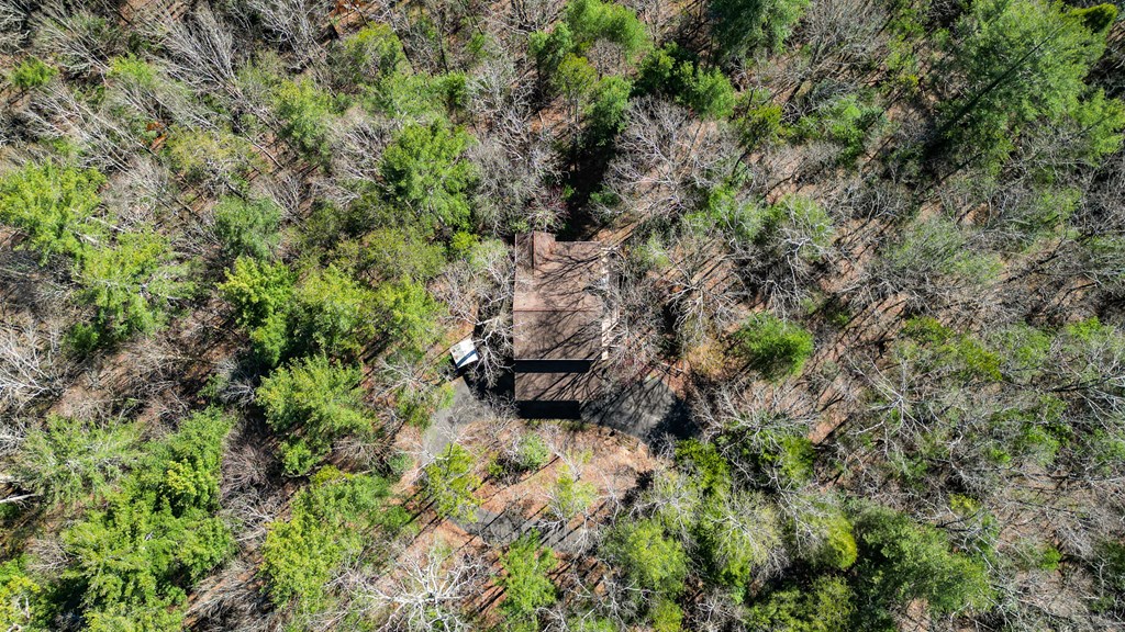 411845 Ellijay Residential