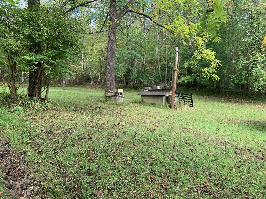 411871  Land