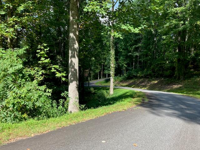 411872 Young Harris Land