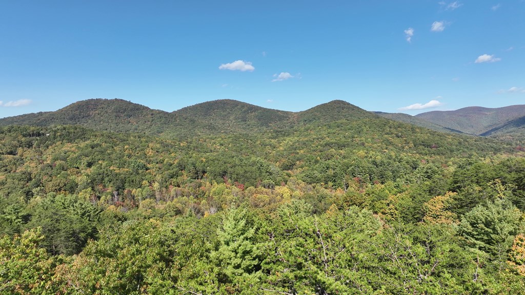 411873 Ellijay Land
