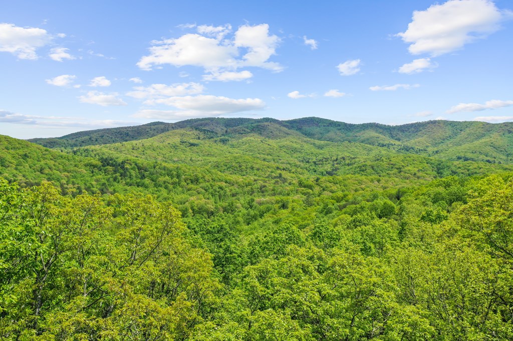 411885 Blue Ridge Residential