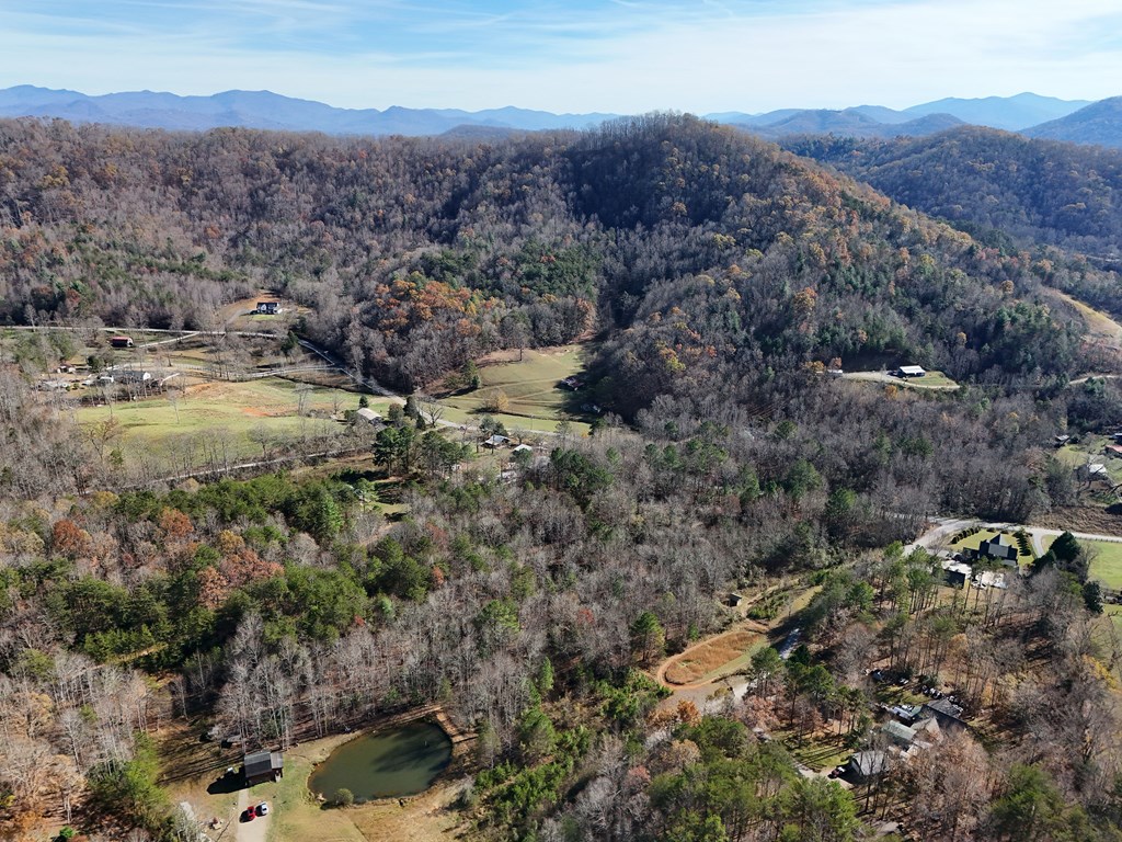411917 Hayesville Land