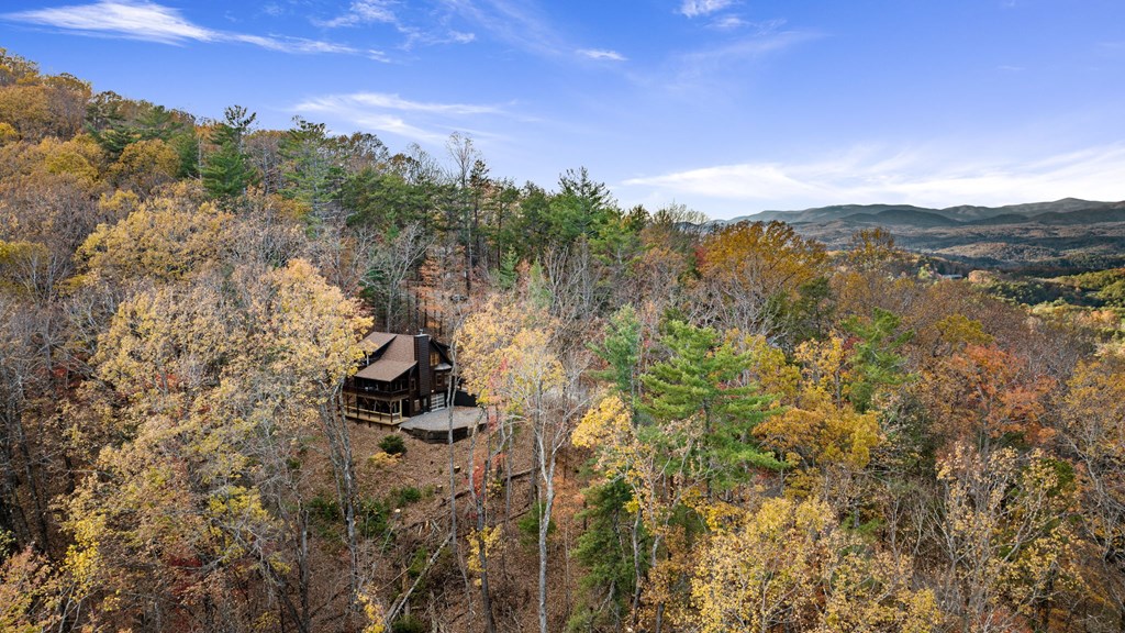 411938 Ellijay Residential