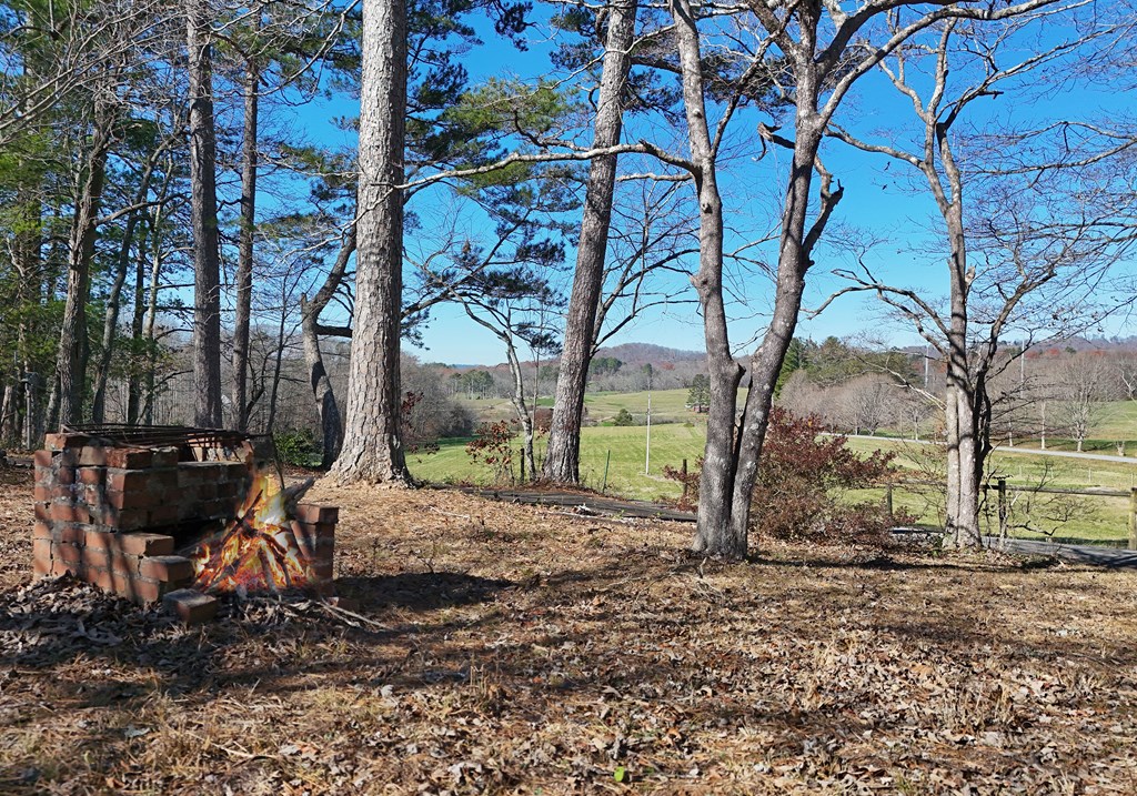411972 Blairsville Residential
