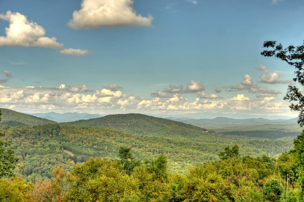 411987 Blue Ridge Residential