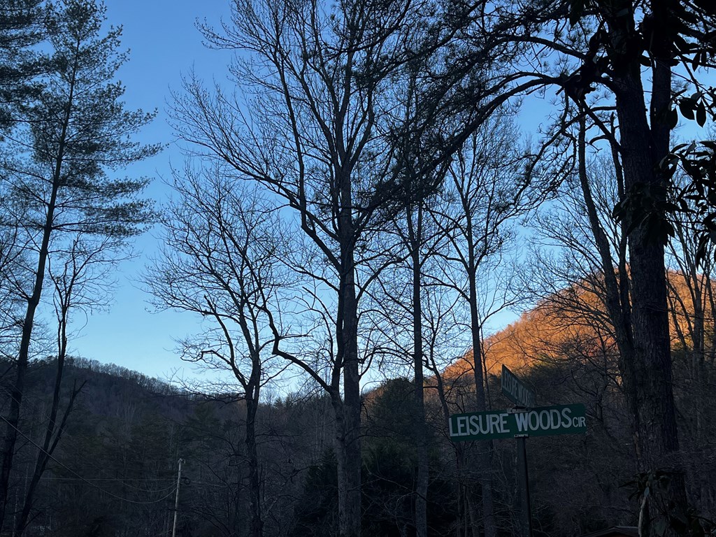 412061 Hiawassee Residential