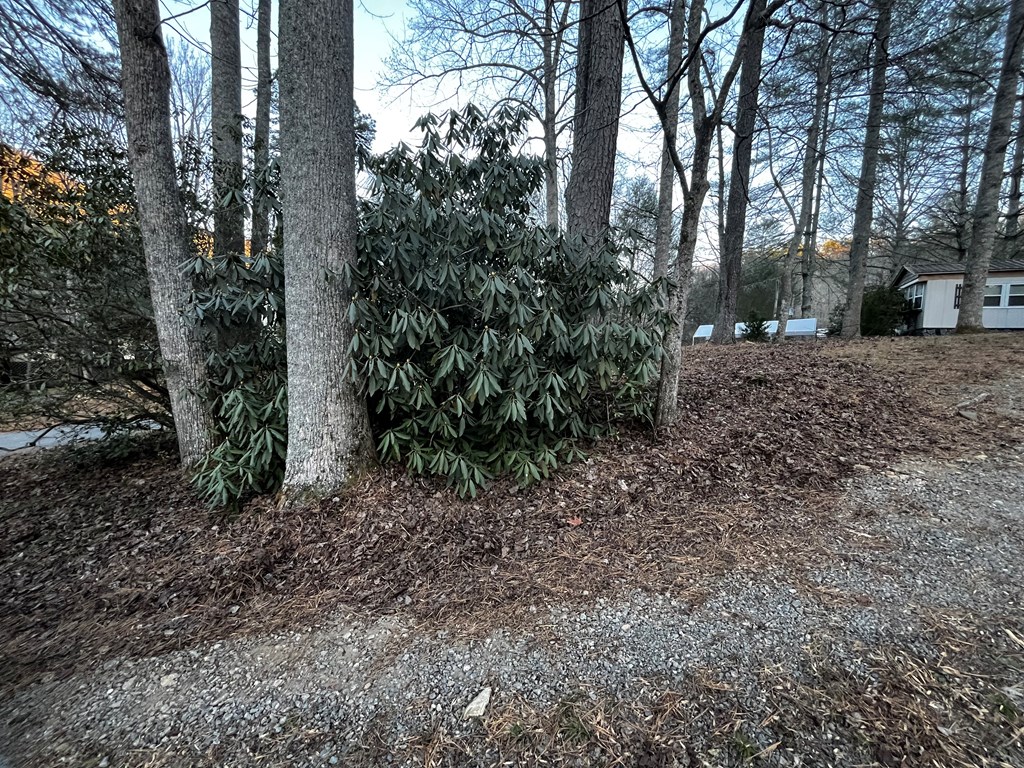 412061 Hiawassee Residential