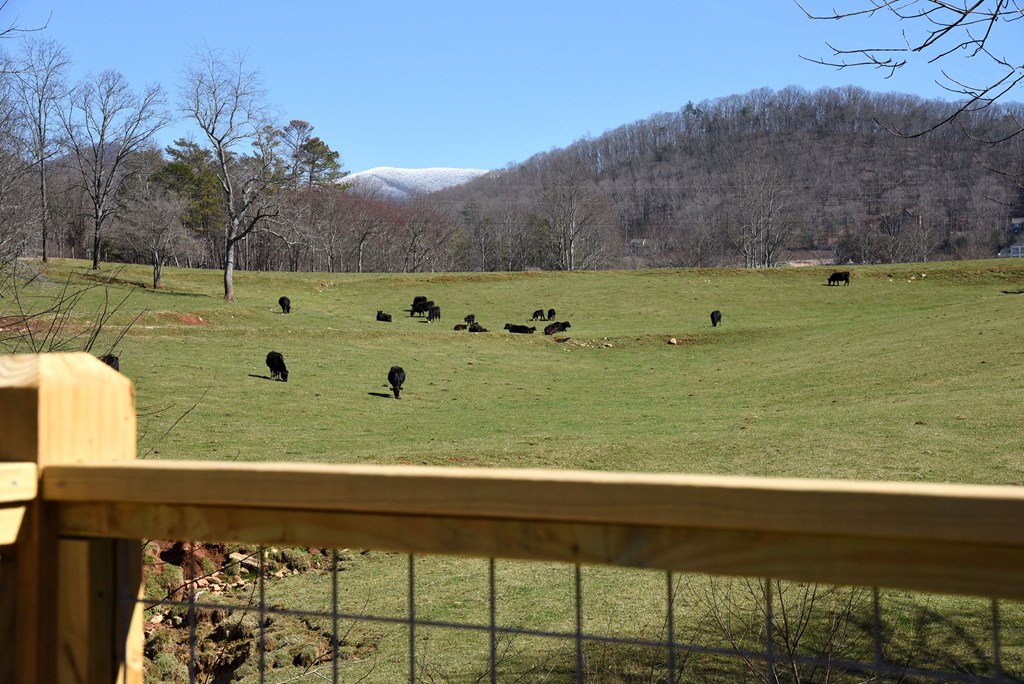 412112 Blairsville Residential