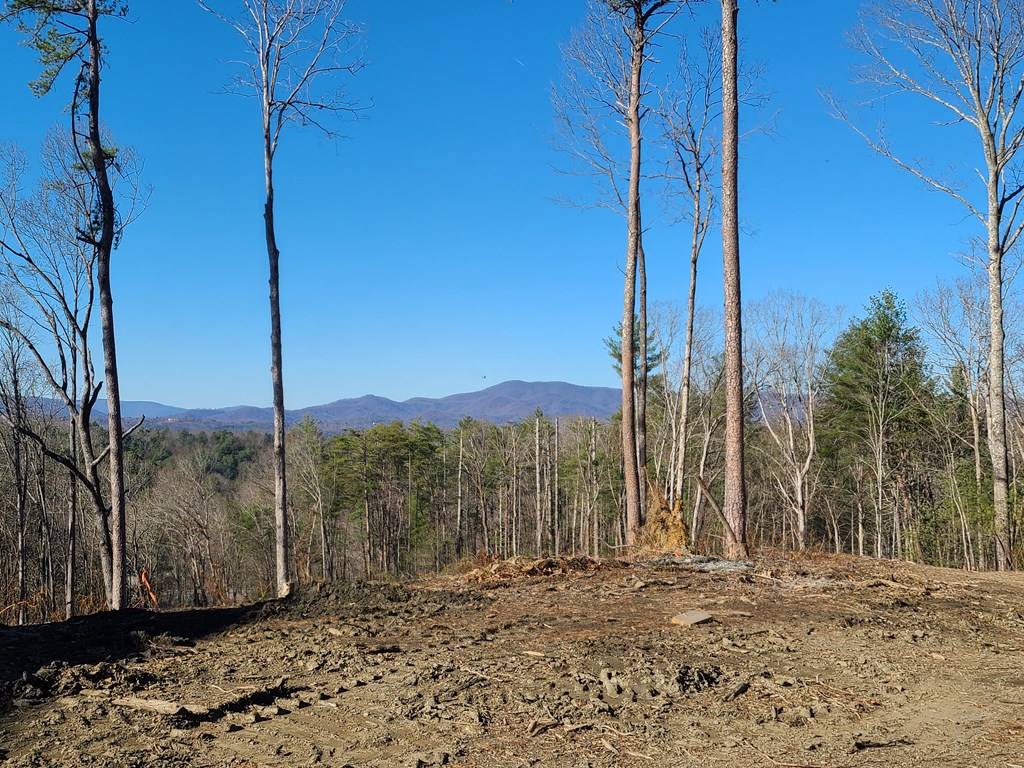 412254 Ellijay Residential