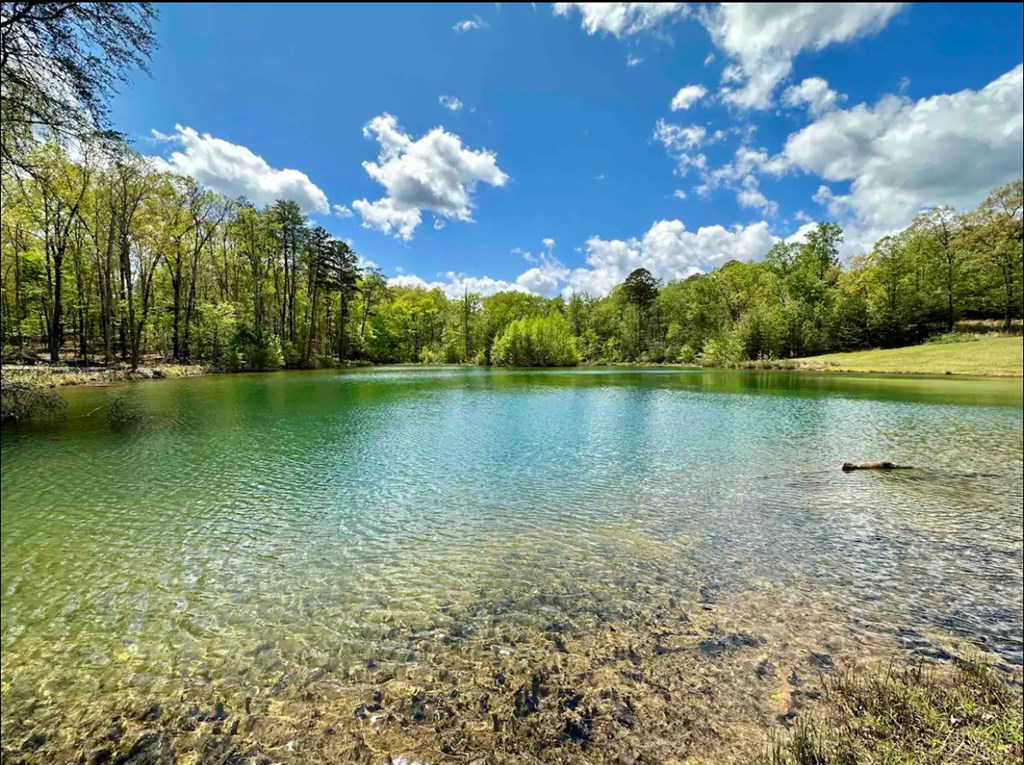 412421 McCaysville Residential