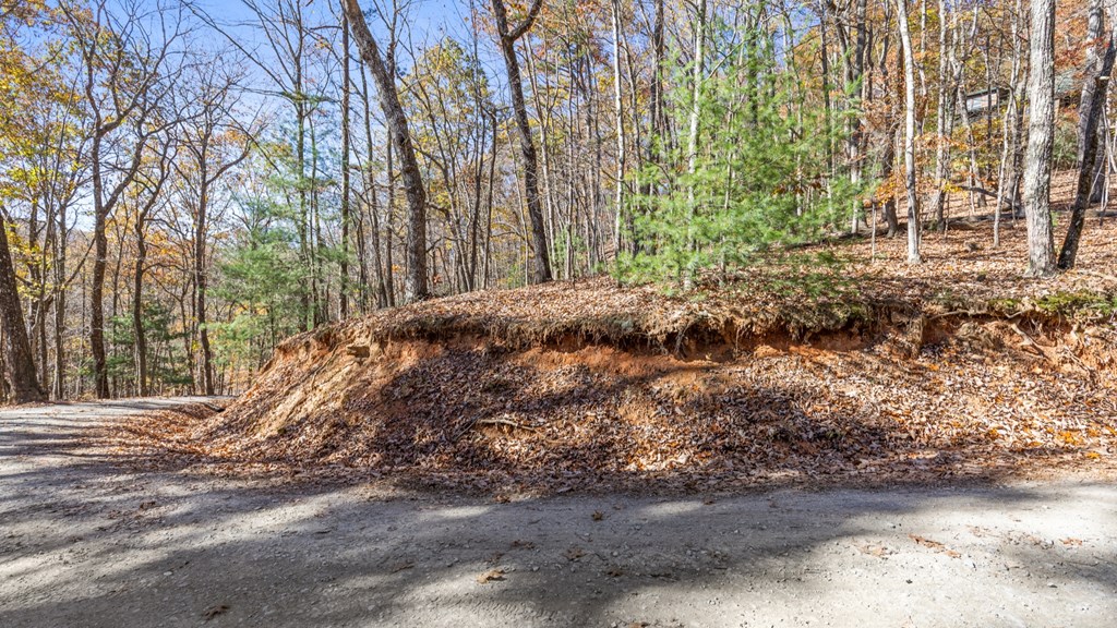 412458 Morganton Land