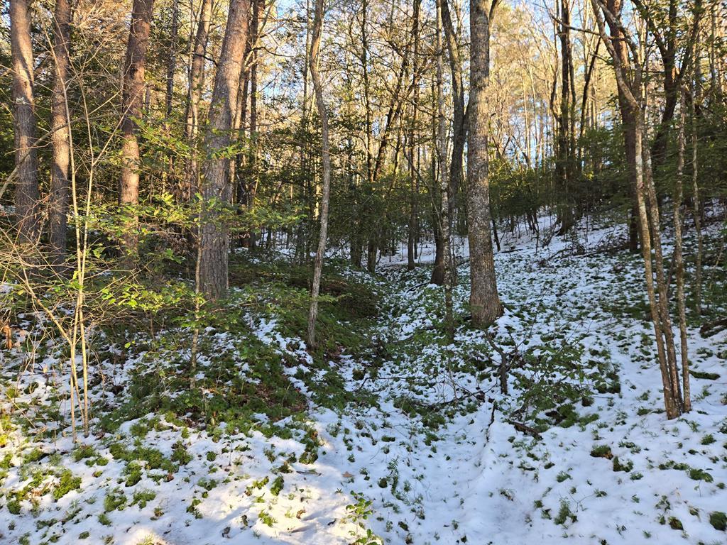 412504  Land