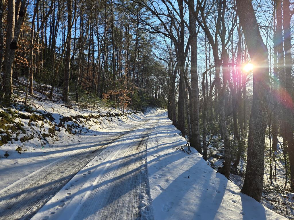 412504 Hayesville Land