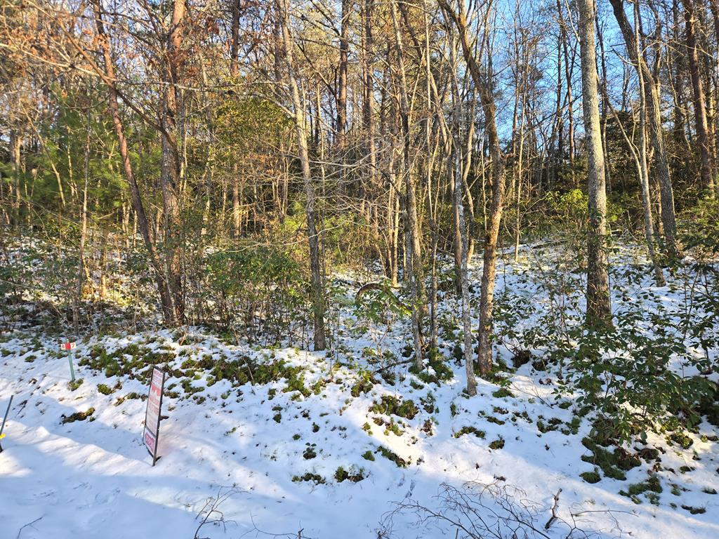 412504 Hayesville Land