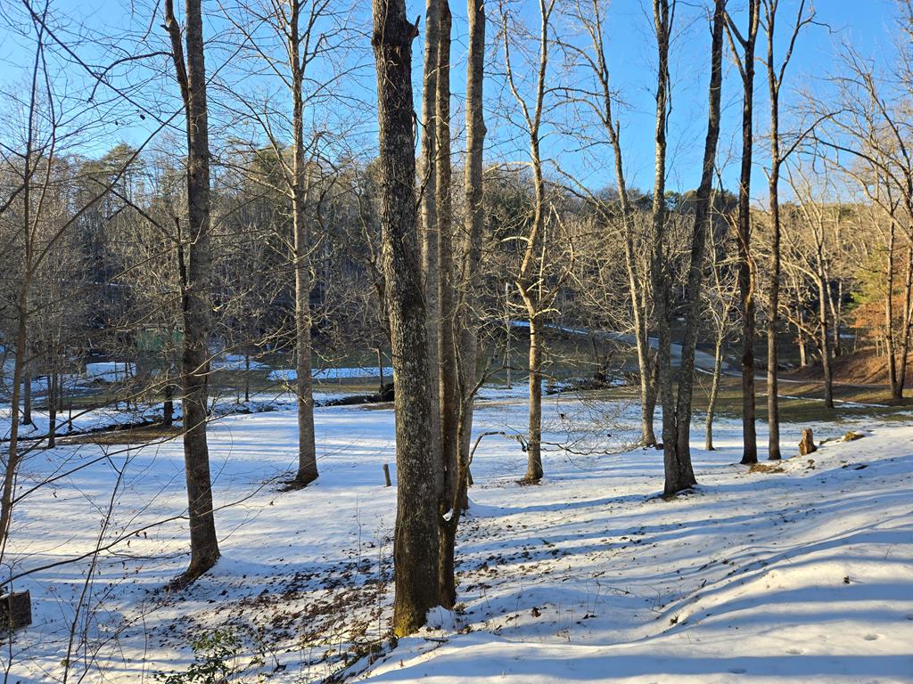 412504 Hayesville Land
