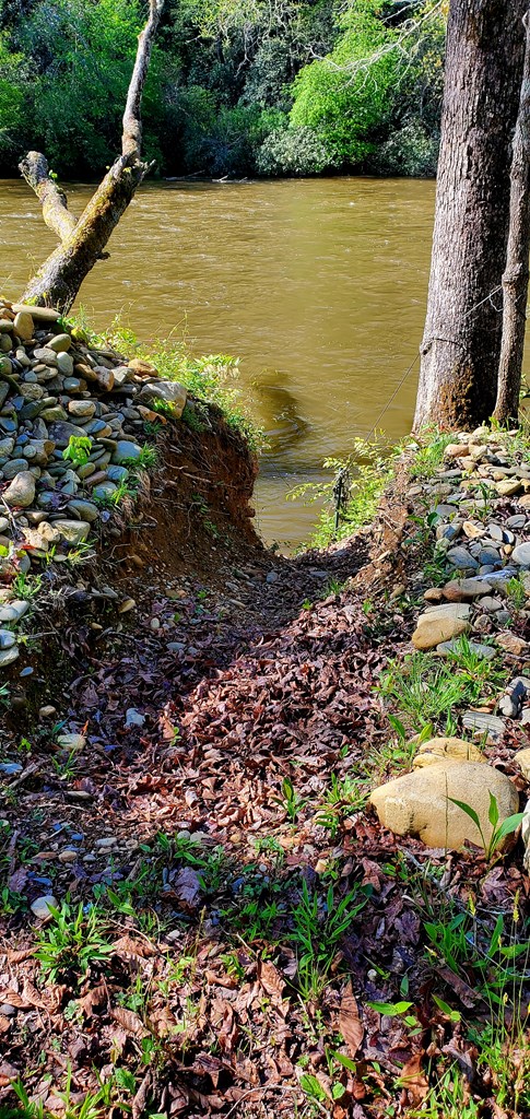 412504 Hayesville Land