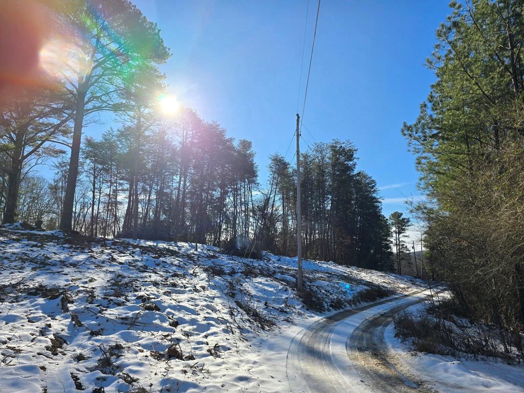 412538 Blue Ridge Land