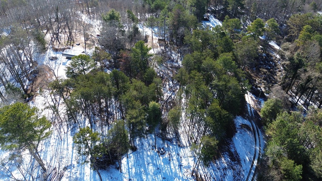 412538 Blue Ridge Land
