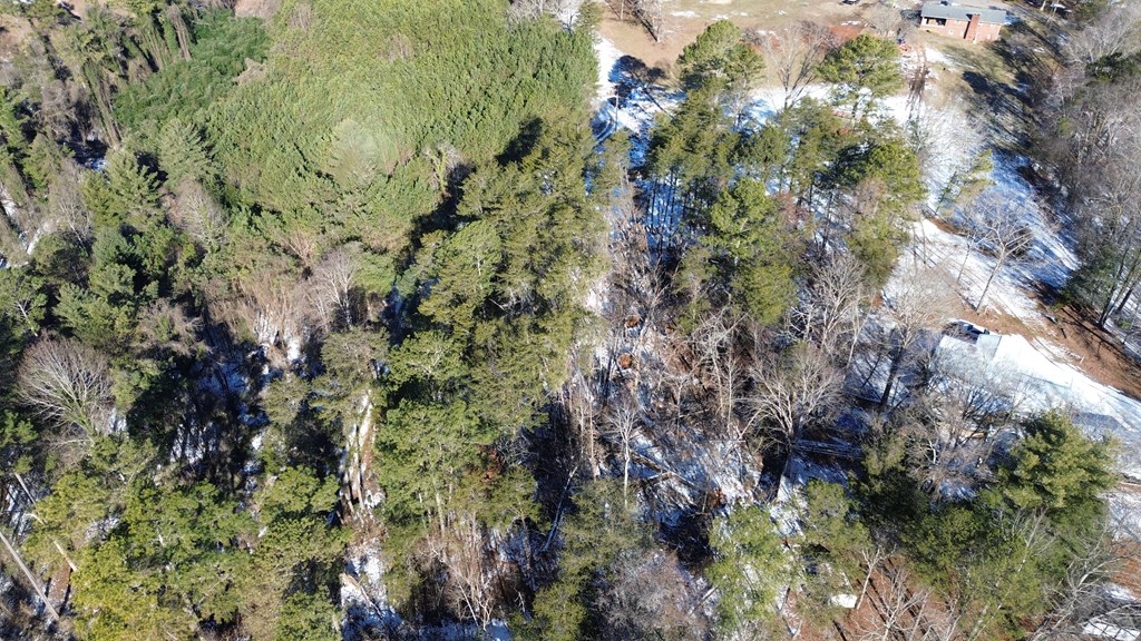 412538 Blue Ridge Land