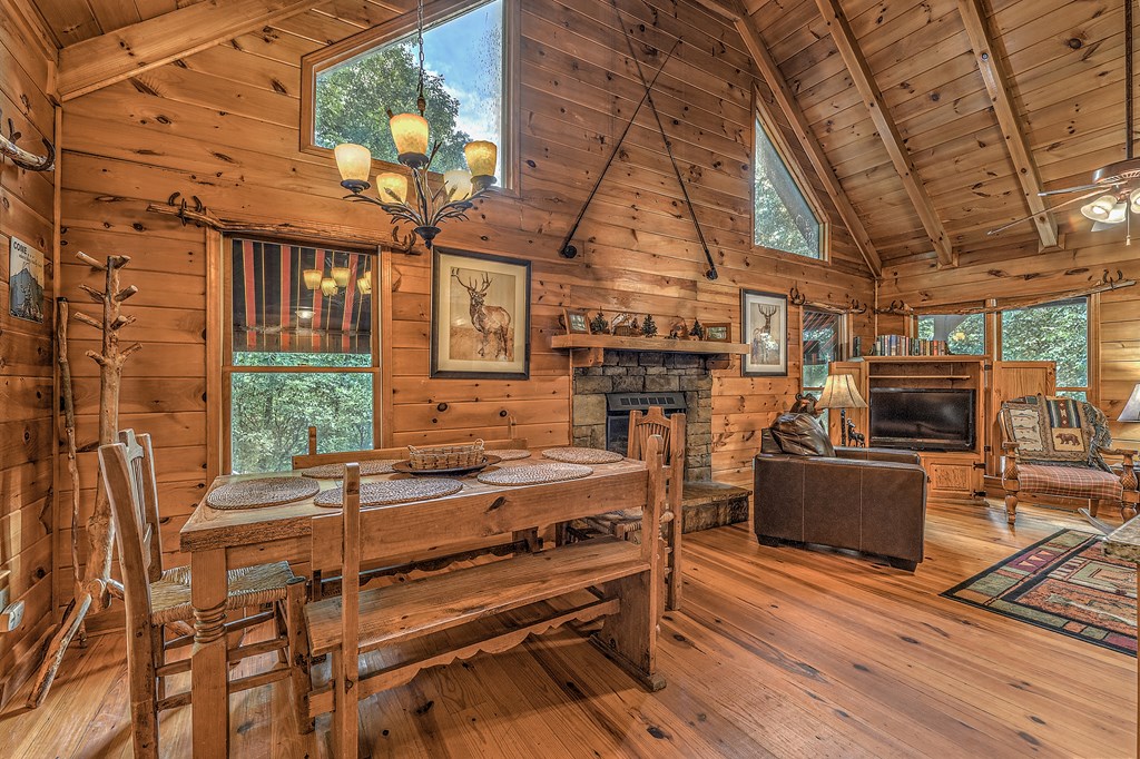 412814 Mineral Bluff Residential