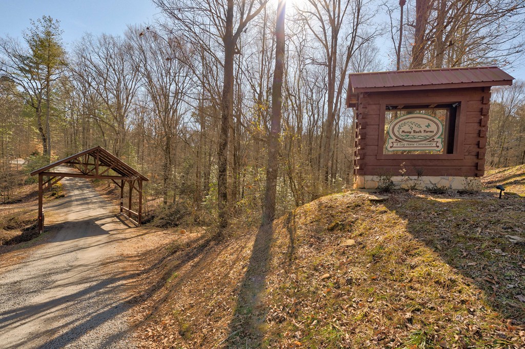 413007 Ellijay Residential