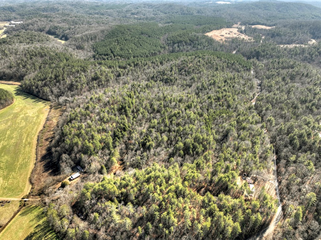413046 Ellijay Residential
