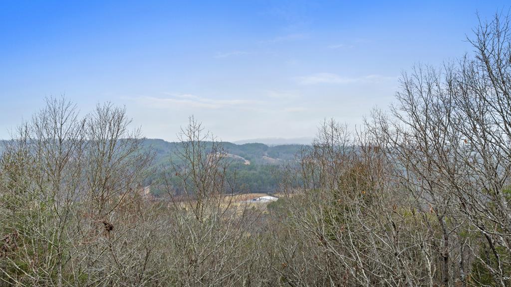 413067 Morganton Residential