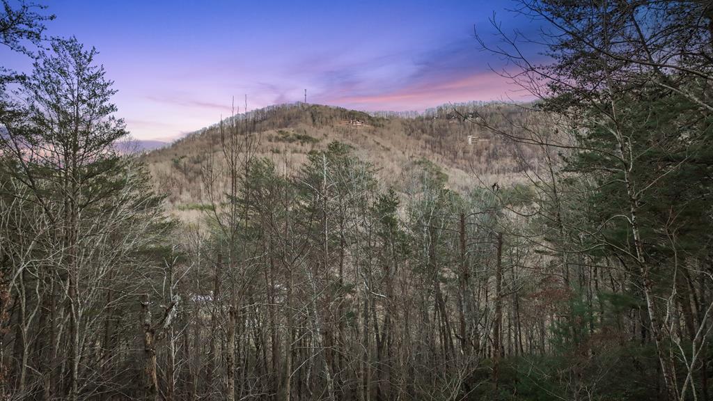 413112 Blue Ridge Residential