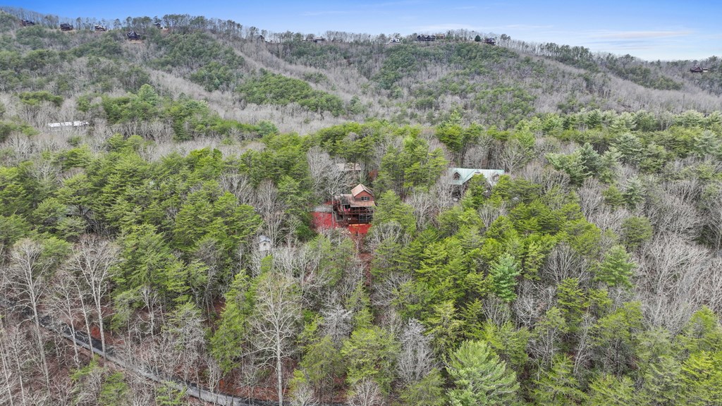 413112 Blue Ridge Residential