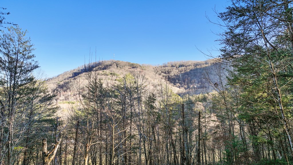 413112 Blue Ridge Residential