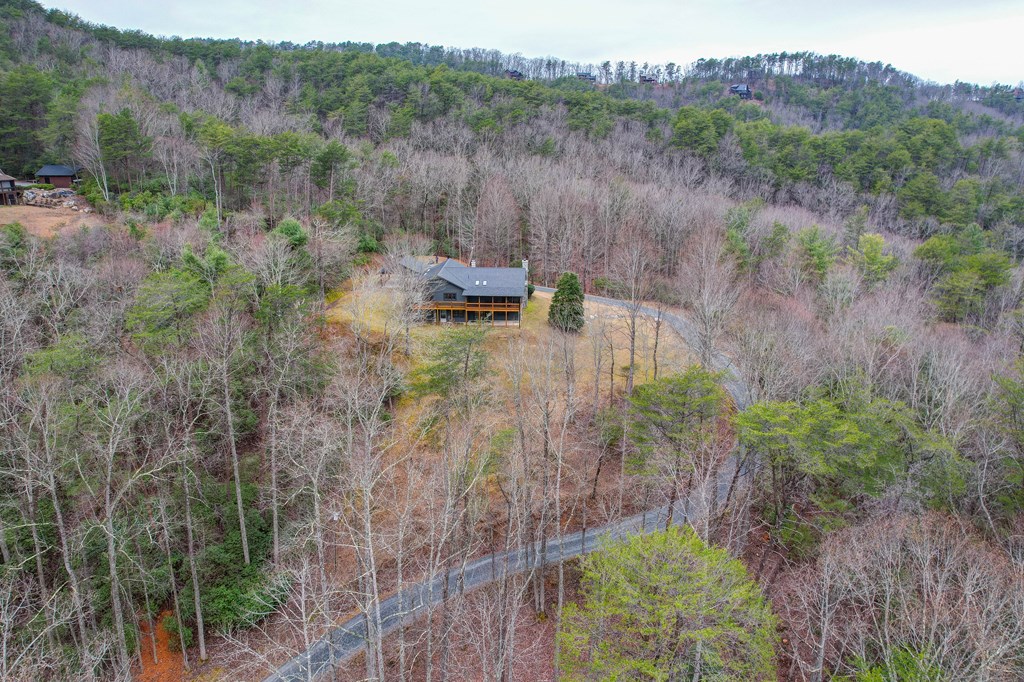 413162 Blue Ridge Residential