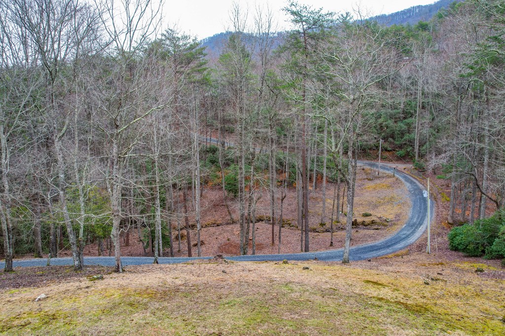 413162 Blue Ridge Residential